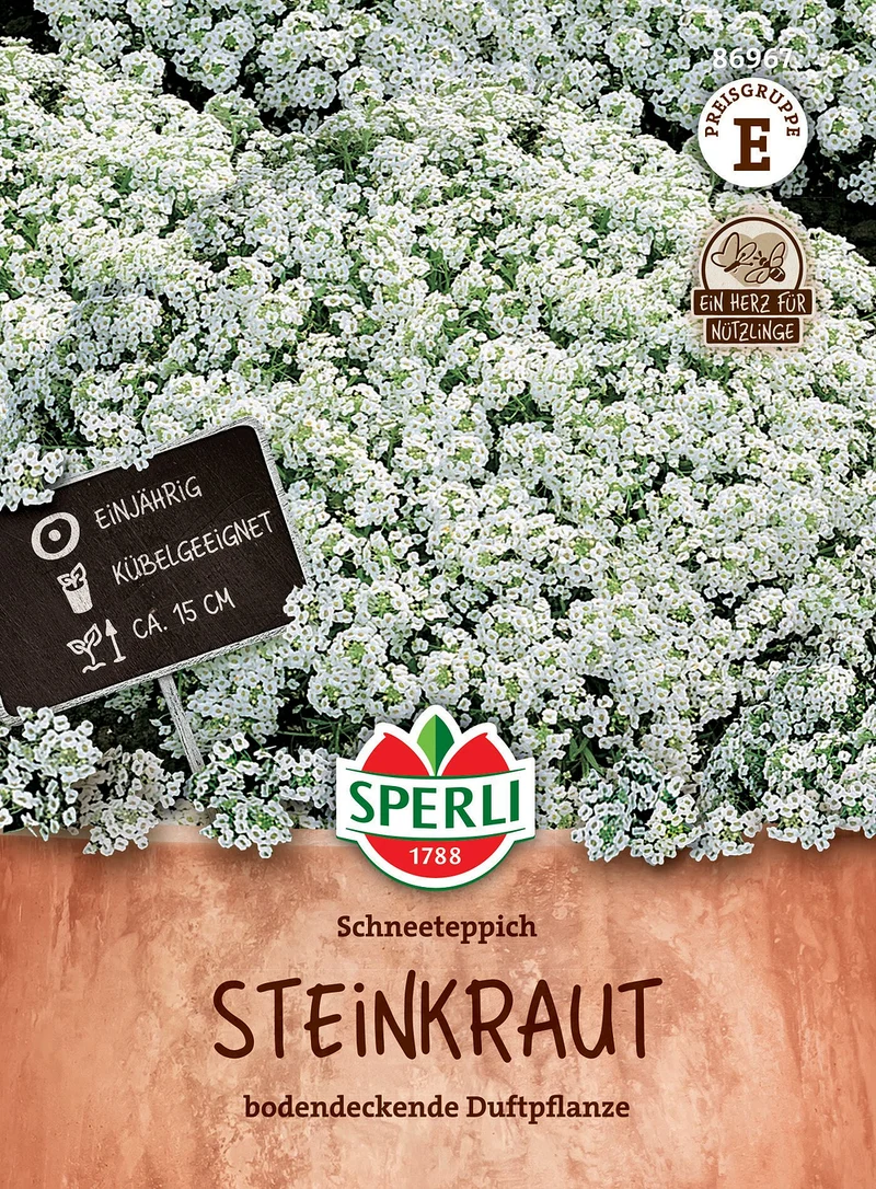 SPERLI Steinkraut-Samen 'Schneeteppich'