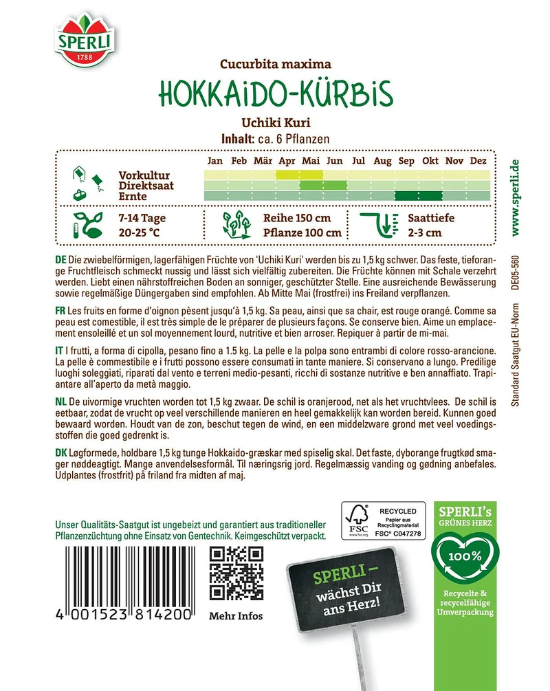 SPERLI Hokkaido Kürbis-Samen 'Uchiki Kuri'