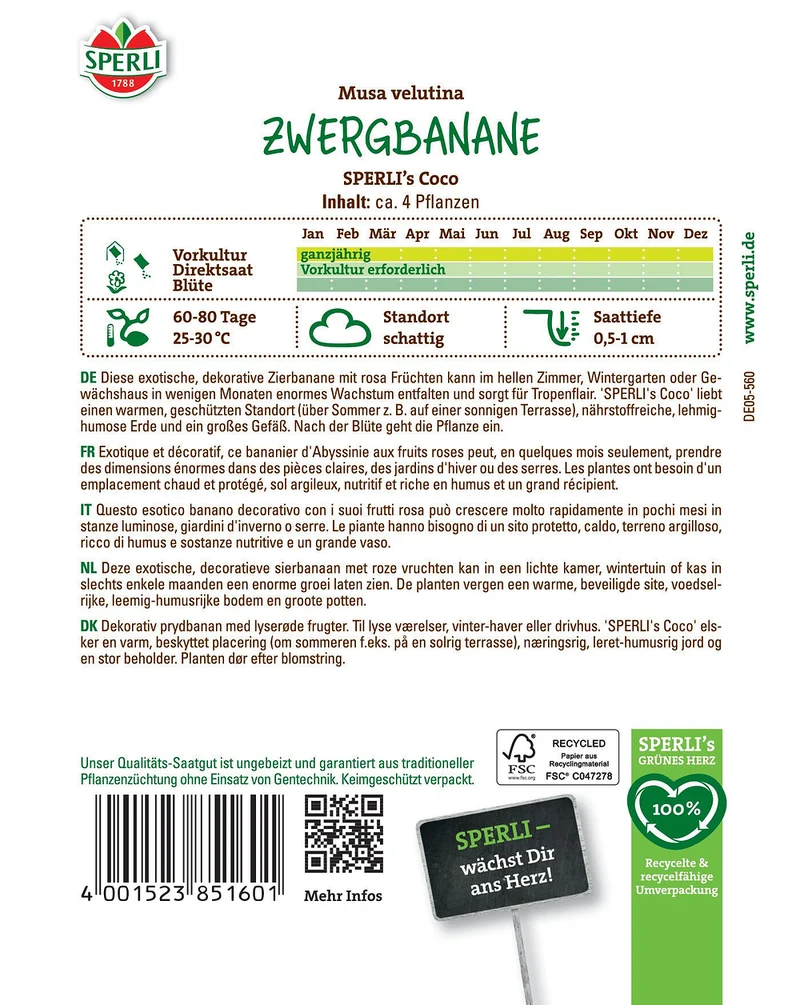 SPERLI Zwergbananen-Samen 'Coco'