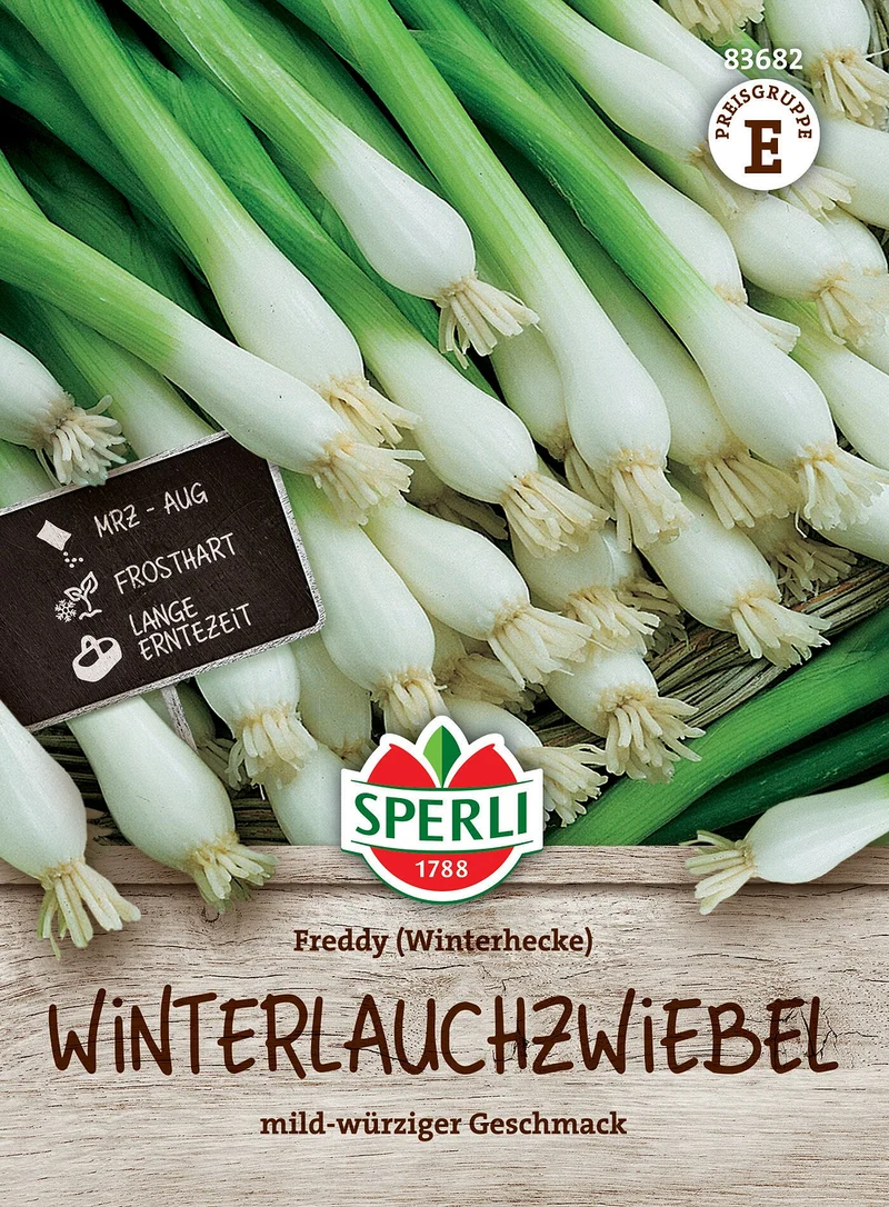 SPERLI Winterlauchzwiebel-Samen 'Freddy'