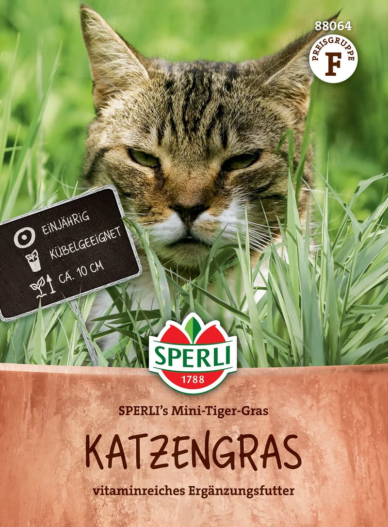 SPERLI Katzengras-Samen 'Mini-Tiger-Gras'