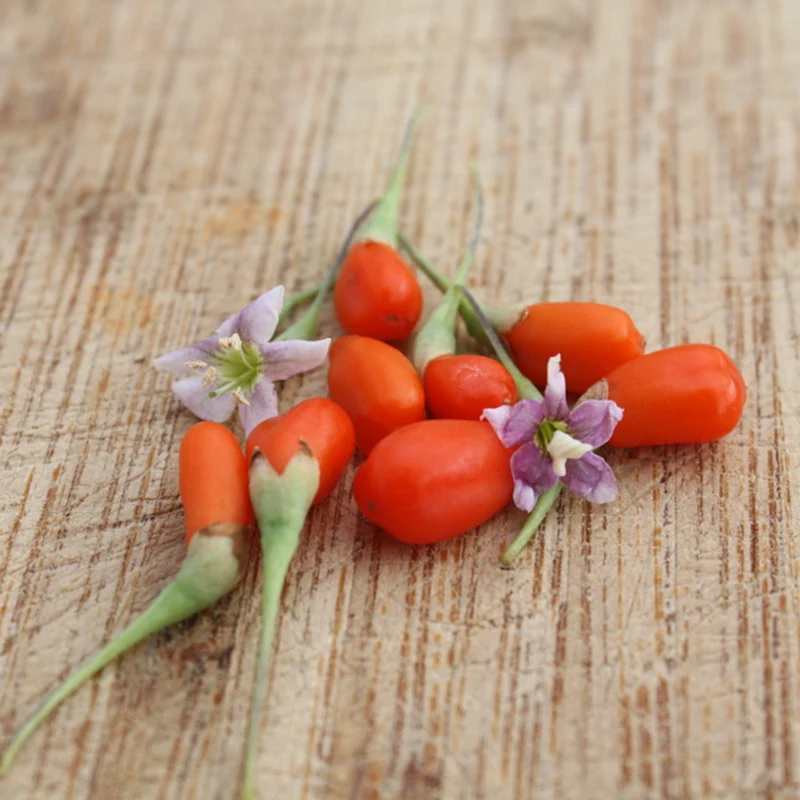 Bio Goji-Beere