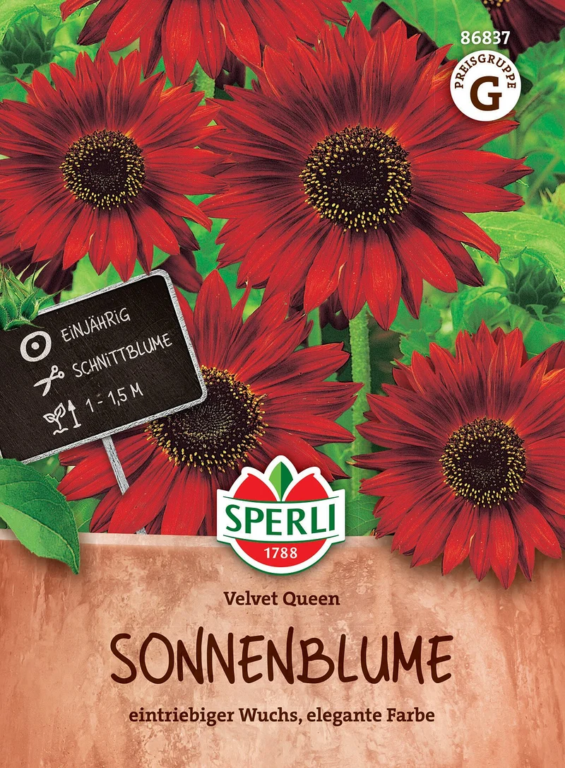 SPERLI Sonnenblumen-Samen 'Velvet Queen'