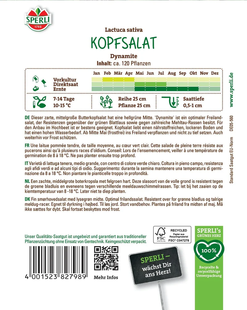 SPERLI Kopfsalat-Samen 'Dynamite'