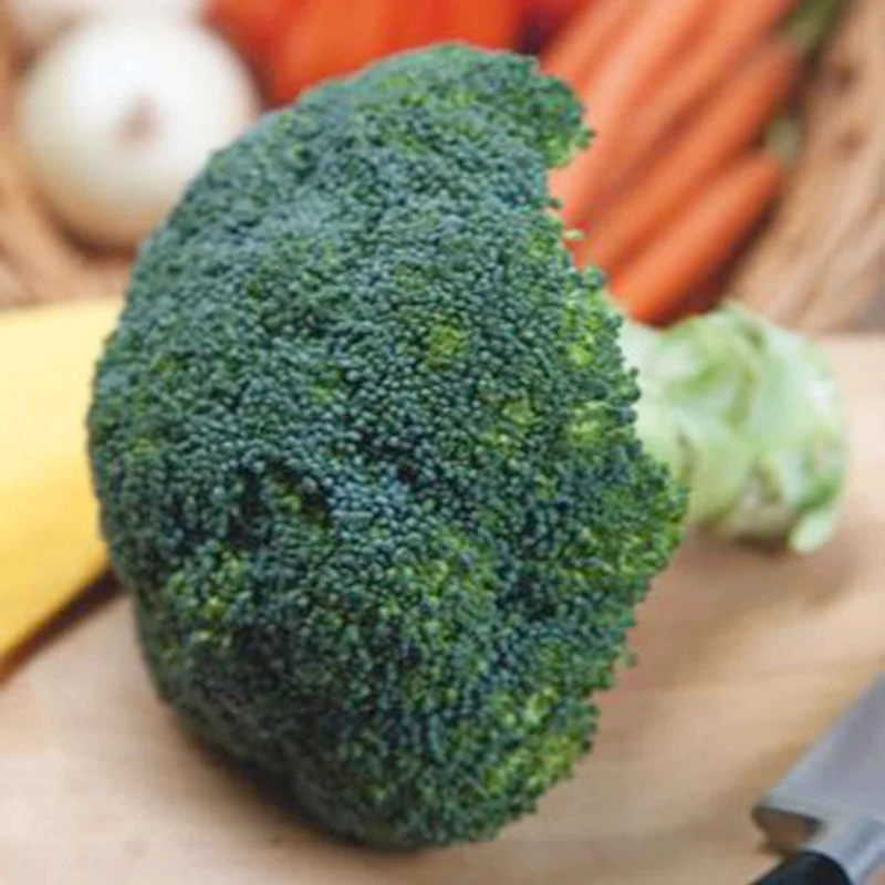 Brokkoli ‘Calabrese Natalino’