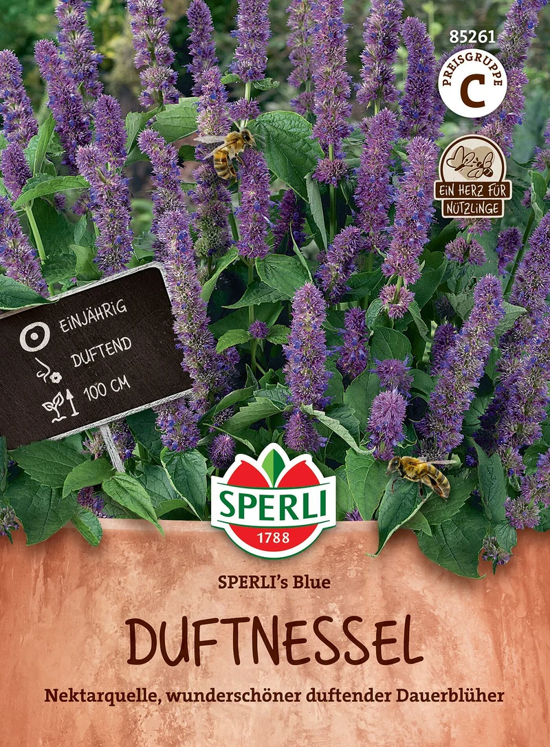 SPERLI Duftnessel-Samen 'Blue'