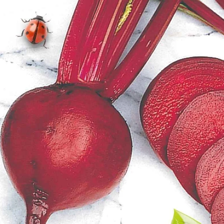 Rote Bete ‘Detroit 2’ Bio
