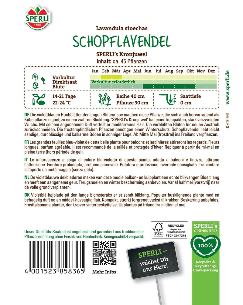 SPERLI Schopflavendel-Samen 'Kronjuwel'
