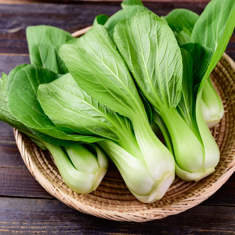 Pak Choi ‘Green Fortune’ F1