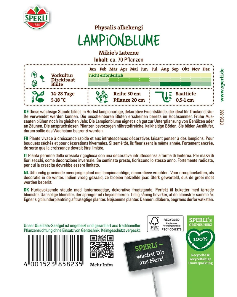 SPERLI Lampionblumen-Samen 'Mikie's Laterne'