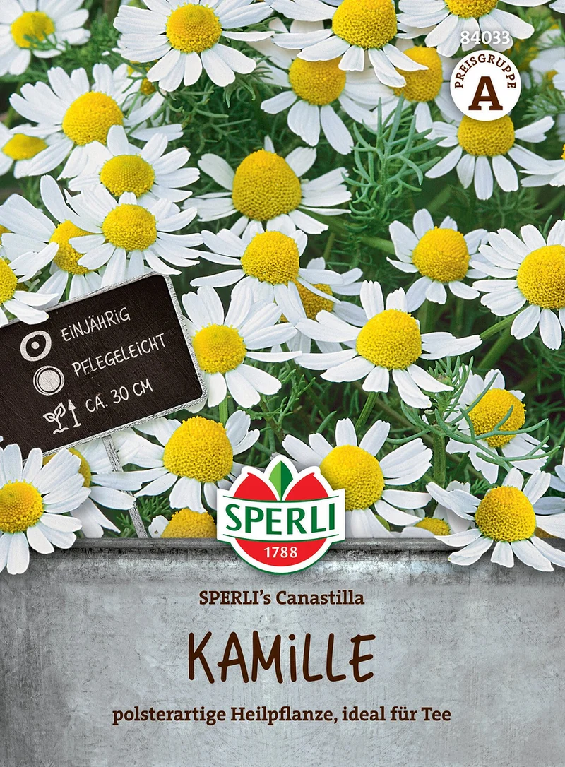 SPERLI Kamillen-Samen 'Canastilla'