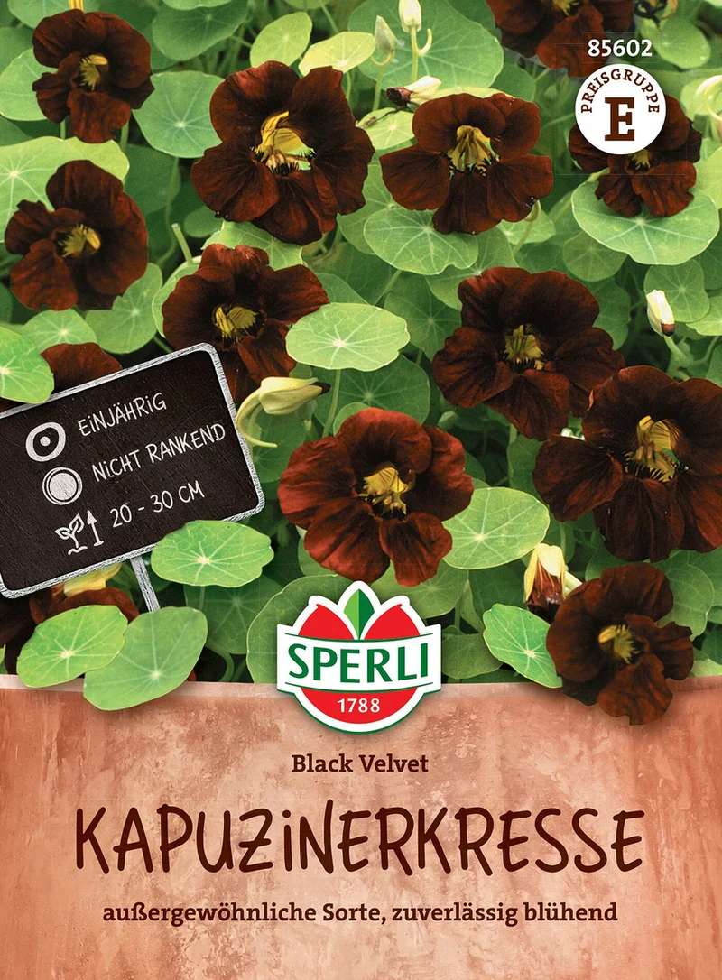 SPERLI Kapuzinerkresse-Samen 'Black Velvet'