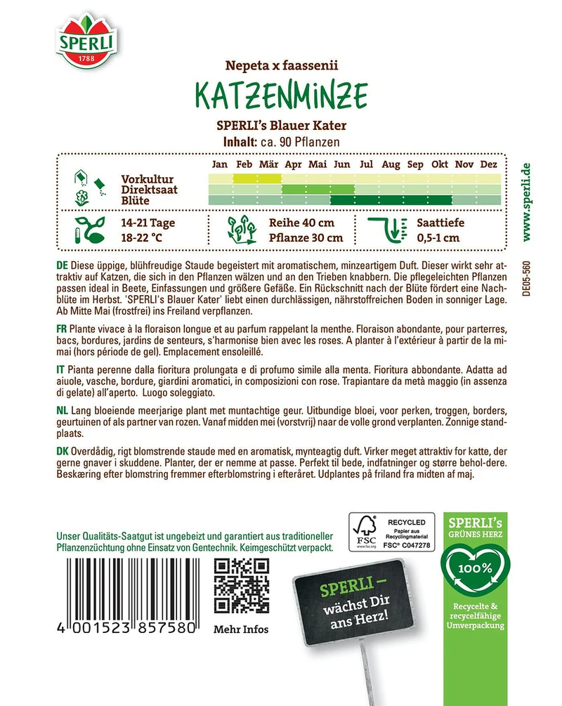 SPERLI Katzenminzen-Samen 'Blauer Kater'