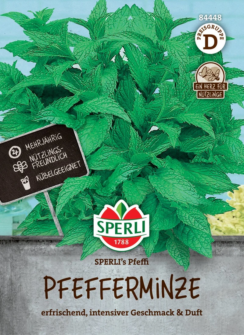 SPERLI Pfefferminze-Samen 'Pfeffi'