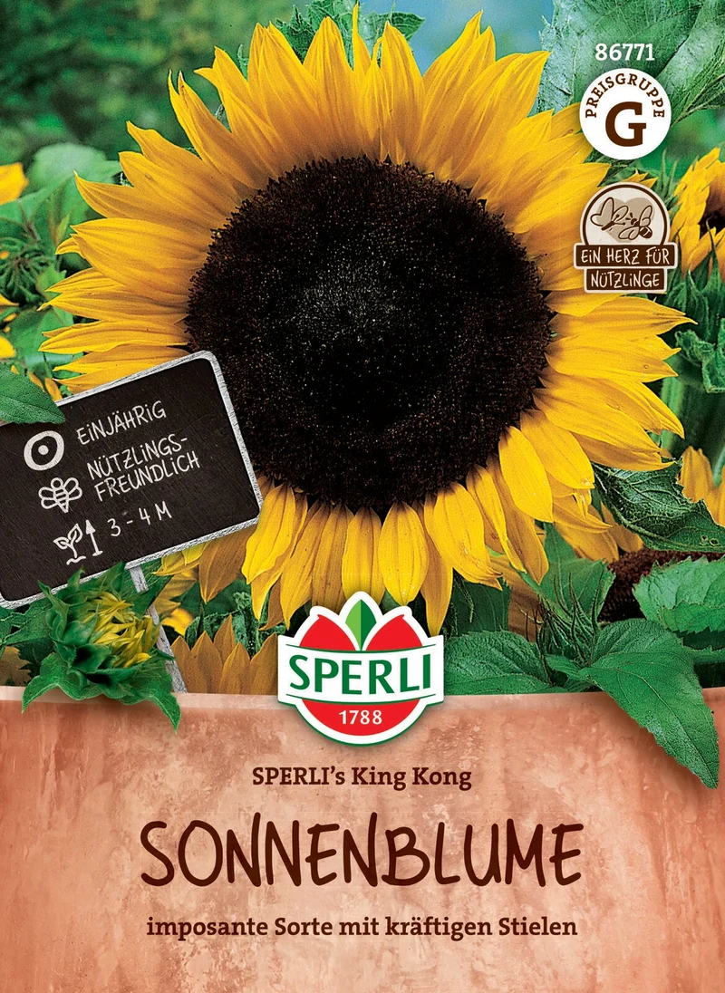 SPERLI Sonnenblumen-Samen 'King Kong'