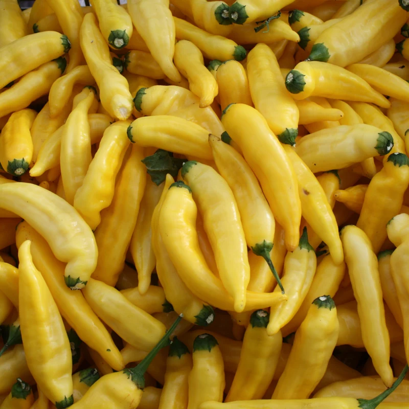 Bio Zitronen-Chili