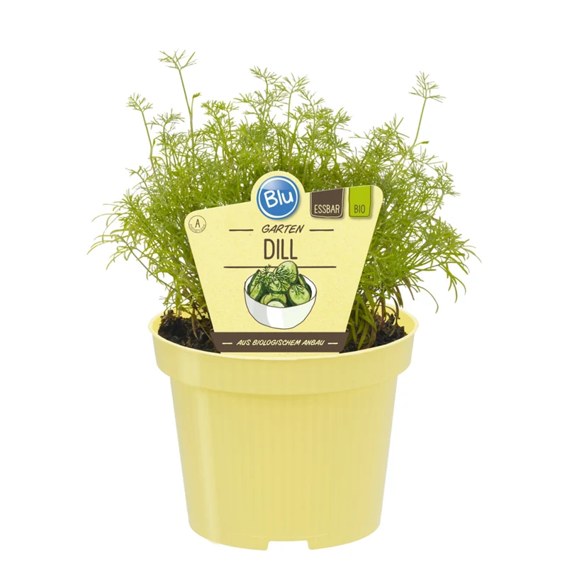 Bio Dill