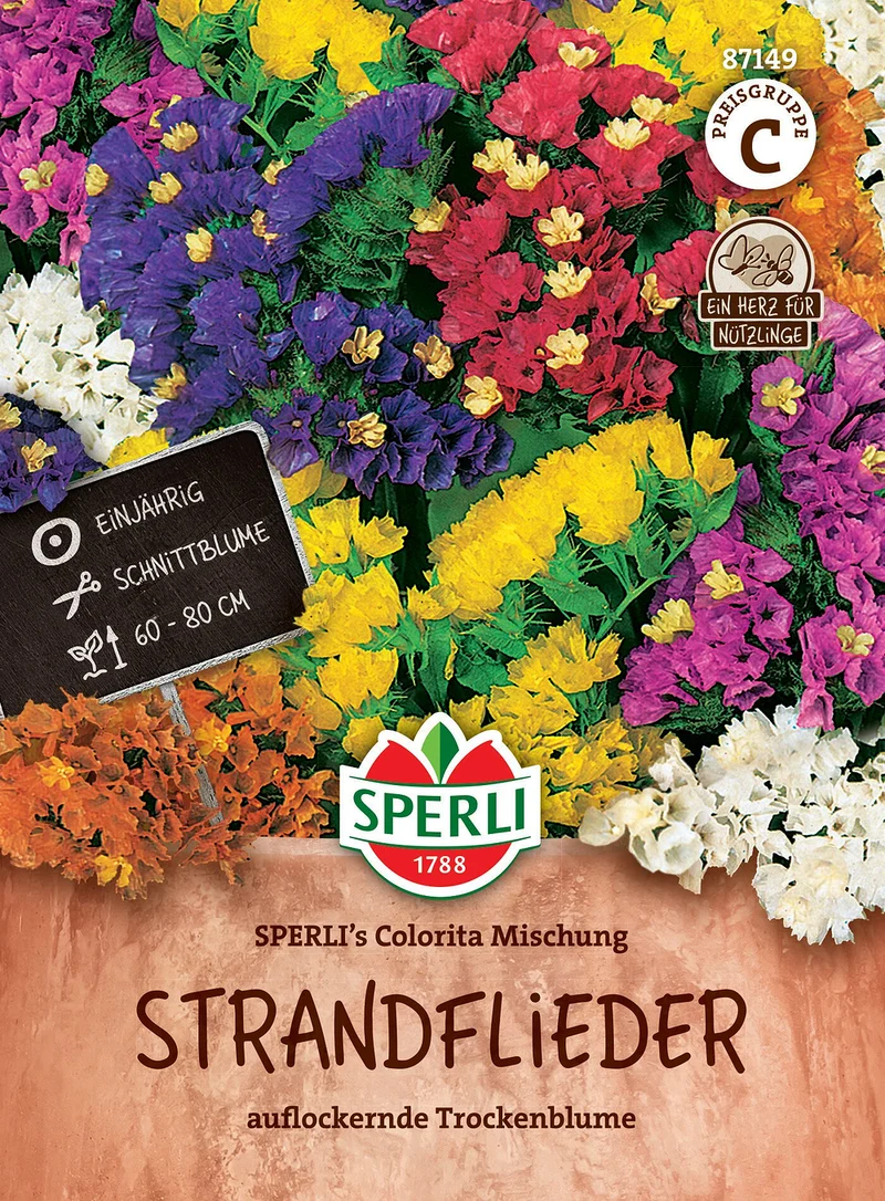 SPERLI Strandflieder-Samen 'Colorita Mischung'