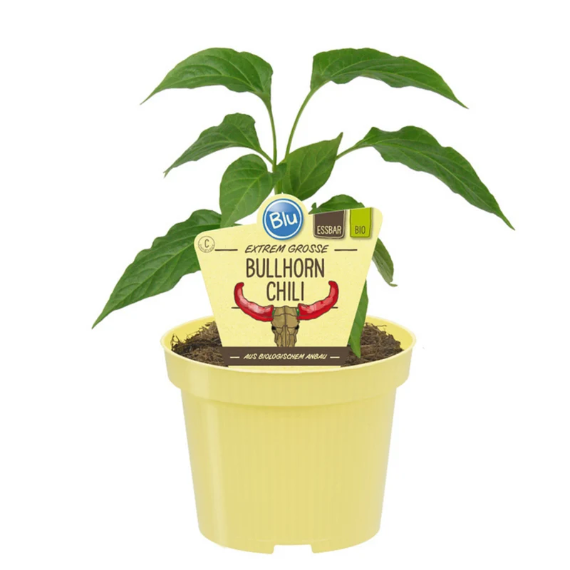 Bio Bullhorn-Chili
