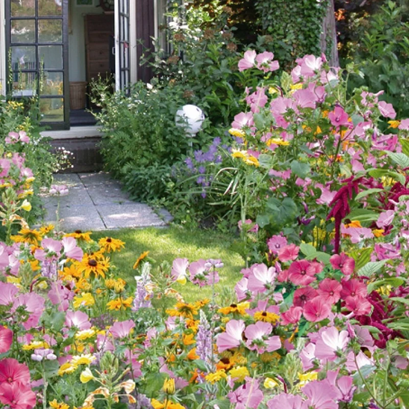 Einjährige Blumenmischung Cottage Garden (5 m²)
