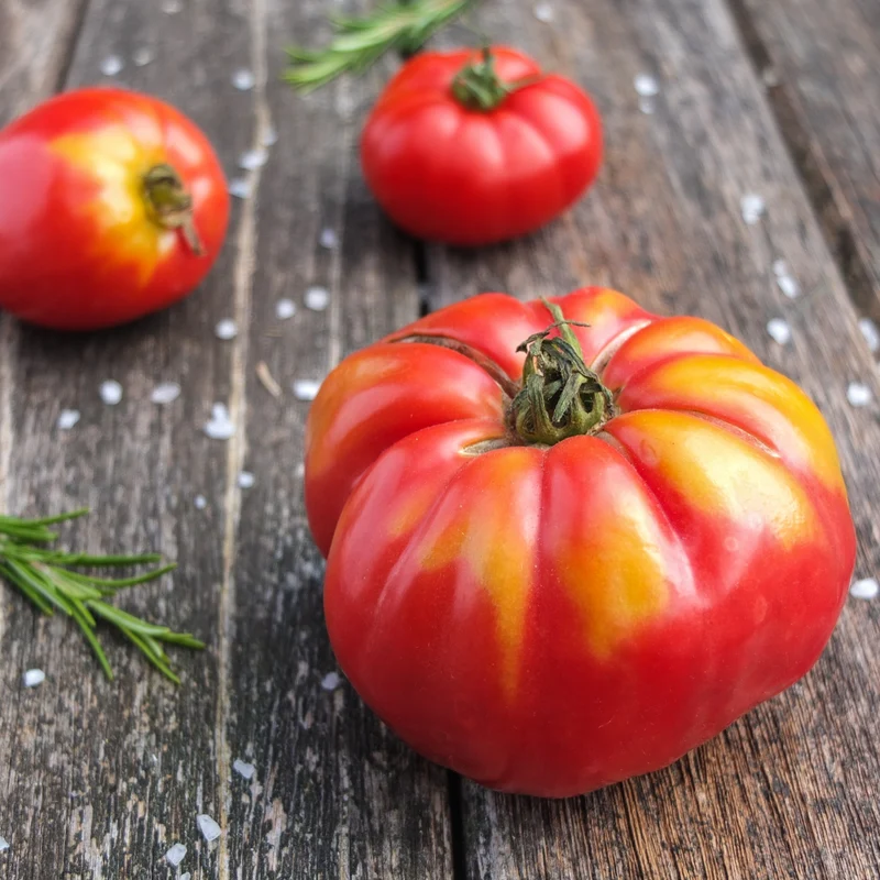 Fleischtomate Marmande