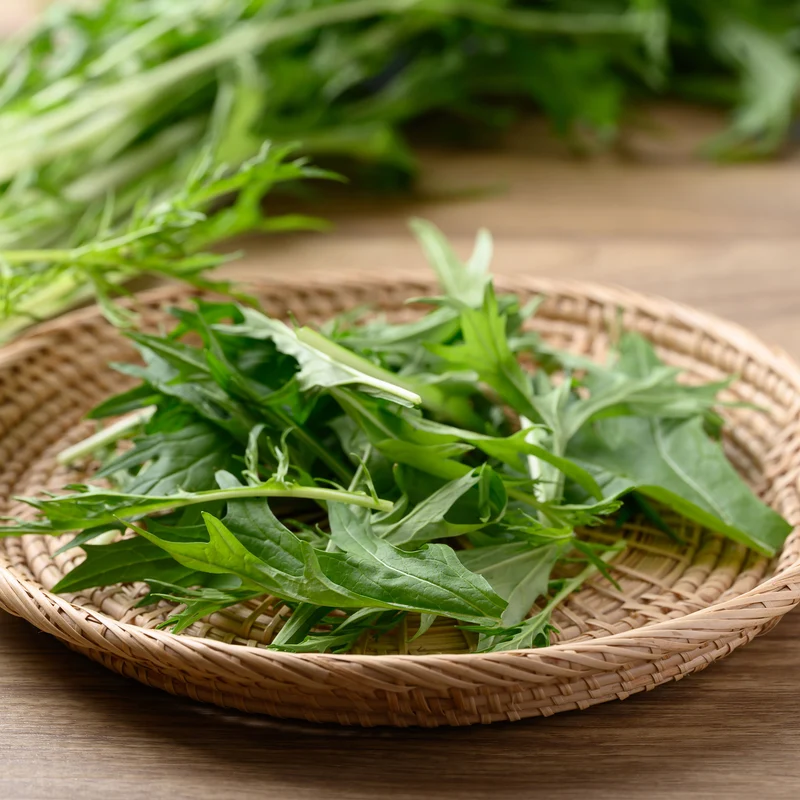 Japanischer Salatkohl Mizuna Bio