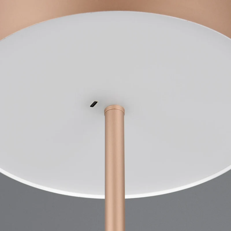 B-Ware Reality Stehleuchte LED-Akku-Standlampe braun Metall dimmbar coffee Höhe 147 cm