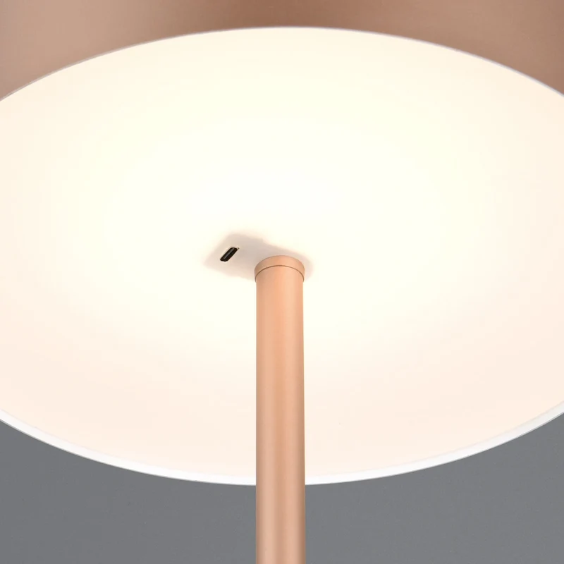 B-Ware Reality Stehleuchte LED-Akku-Standlampe braun Metall dimmbar coffee Höhe 147 cm