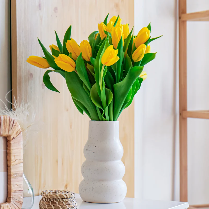 Langstielige Tulpe gelb (x5)