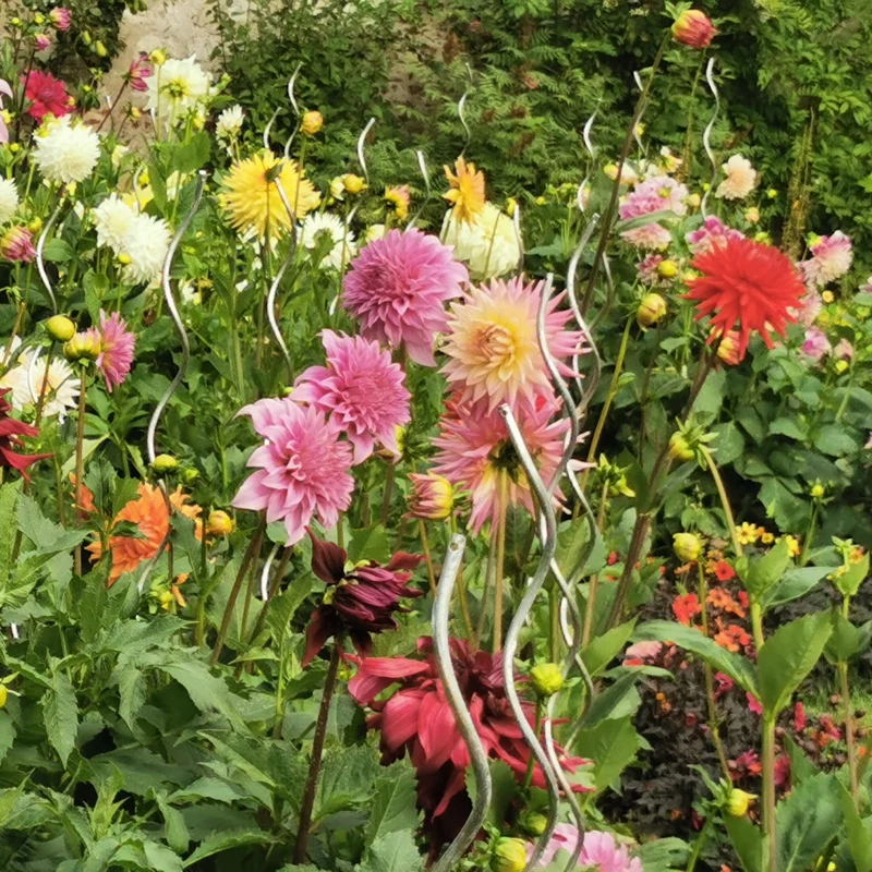 Sommerblumen-Beet-Mix 1,5 m²