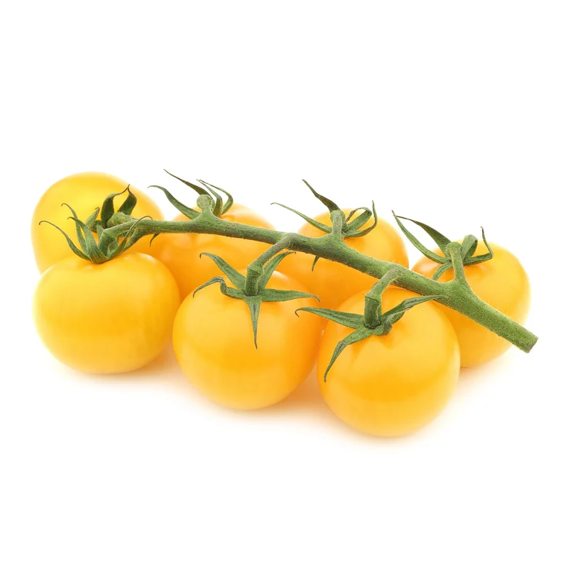 Gelbe Cherrytomate ‚Raisin‘