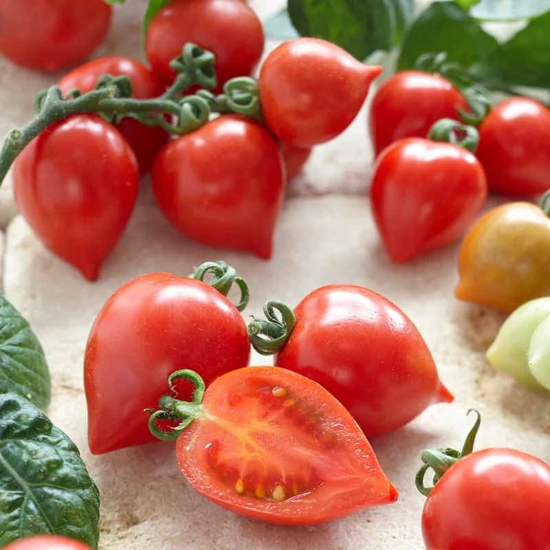 Cherrytomate ‘Heartbreaker Vita’ F1
