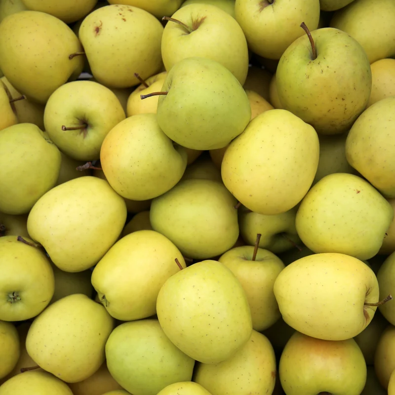 Apfelbaum ‘Golden Delicious’