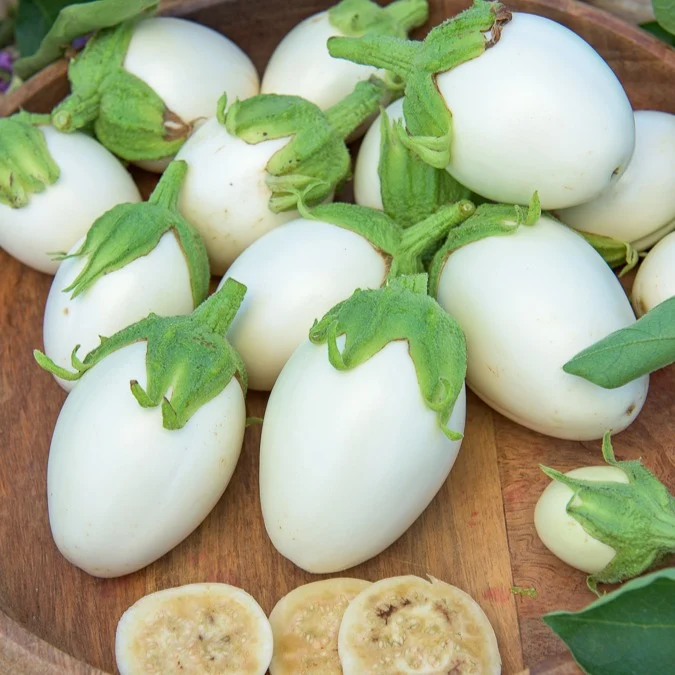 Aubergine ‘Blanche ronde à œufs’