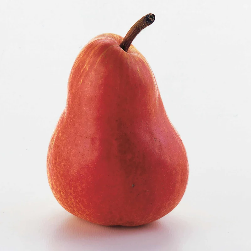 Birne ‘Williams Rot’