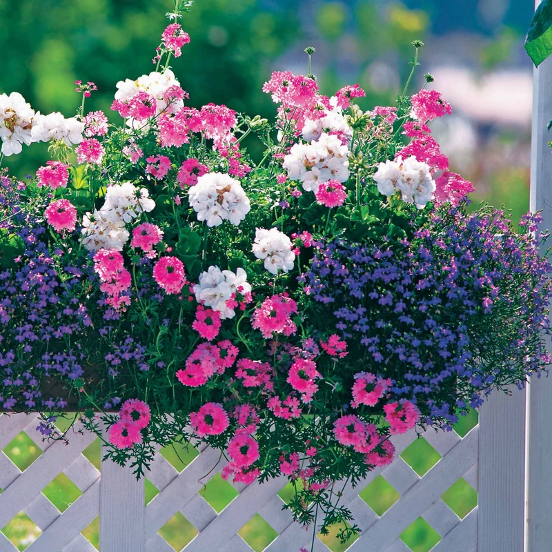 Pastell-Blumen Mischung (x3)