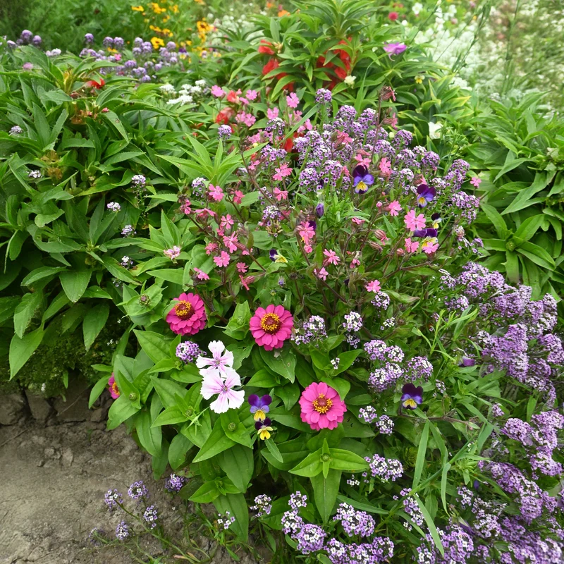 Spezieller Blumenteppich für Blumenkästen