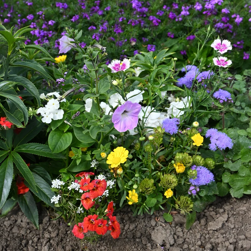 Spezieller Blumenteppich für Blumenkästen