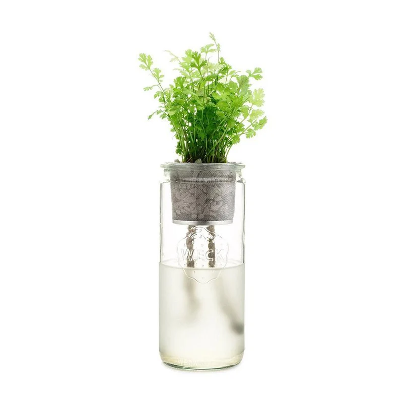 Cilantro Eco Planter