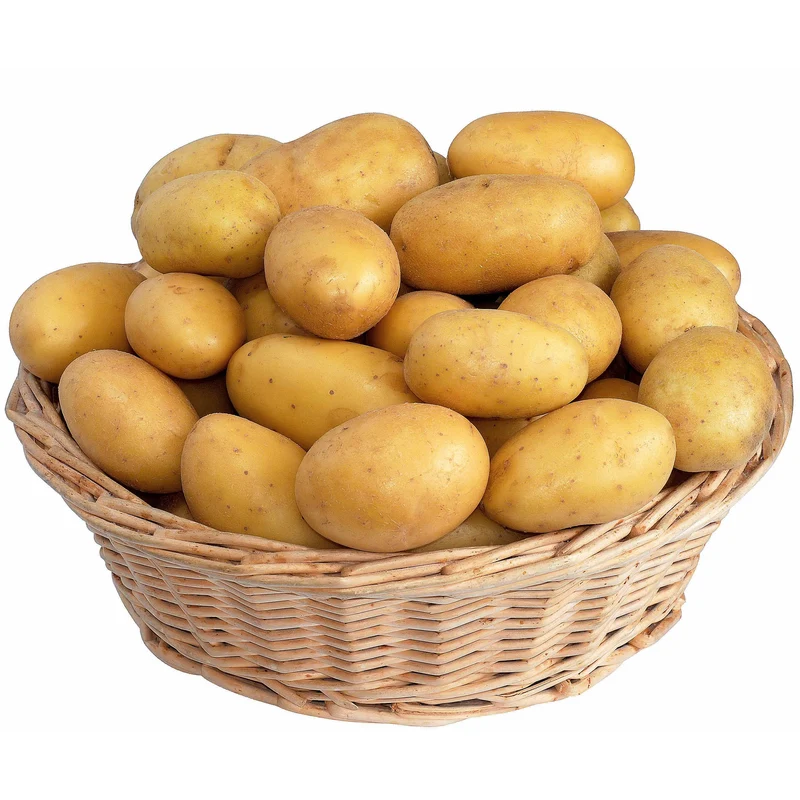 Kartoffelkollektion: Amandine, Jeannette, Blanche. (x80)