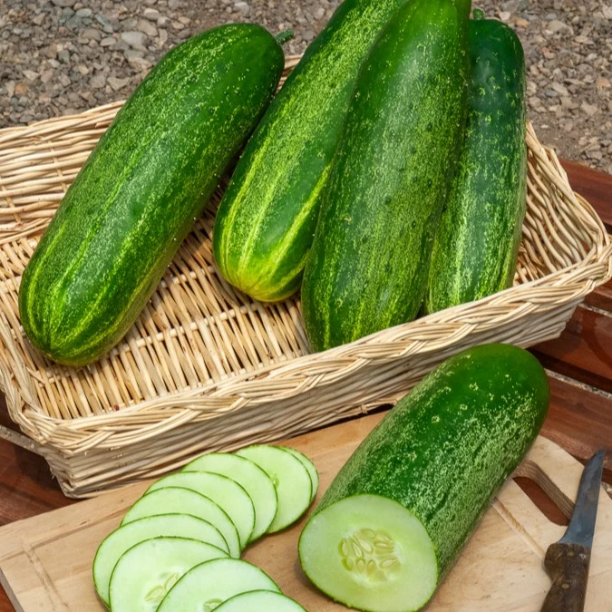 Gurke ‘Le Généreux’