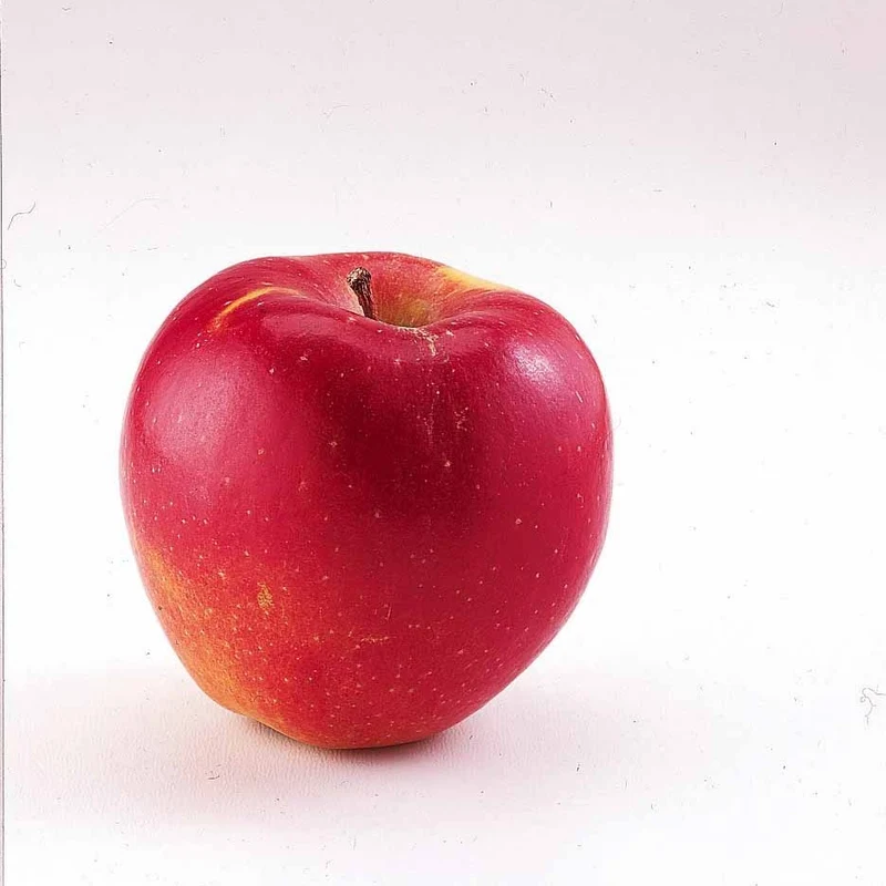 Zwerg-Apfelbaum Braeburn