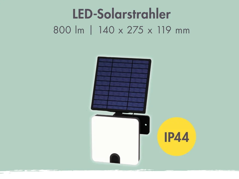 Karibu Gartenhaus Homeoffice Studio 1, schwarz, inkl. LED-Strahler mit Bewegungsmelder, 73 mm