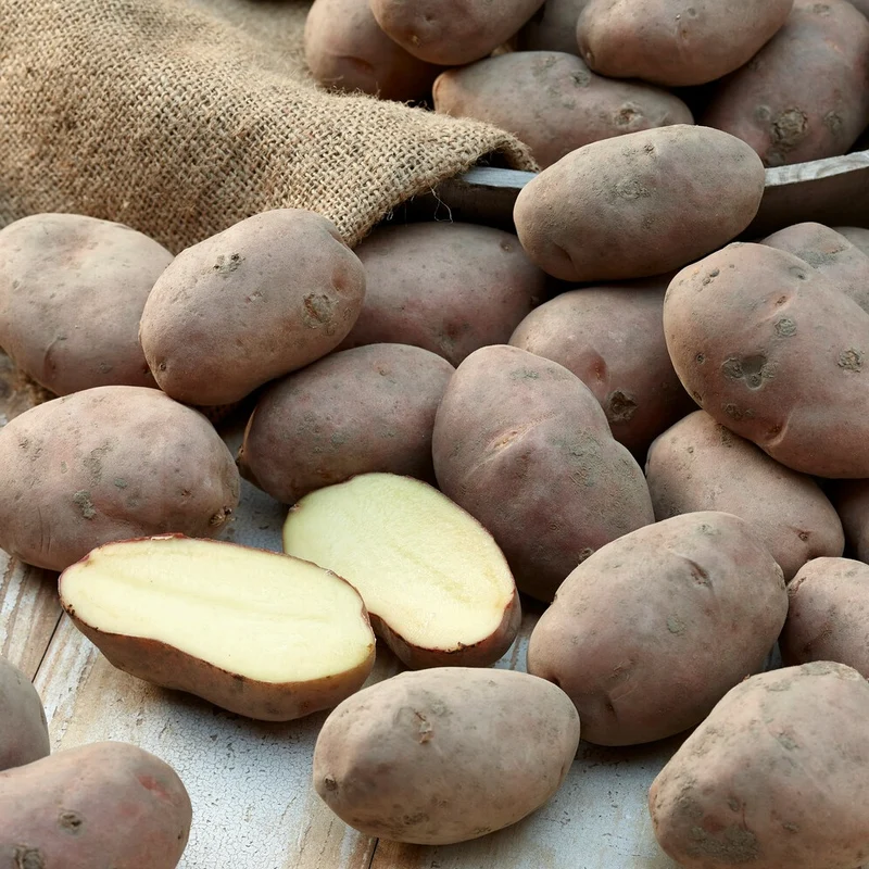 Kartoffel ‘Desirée’
