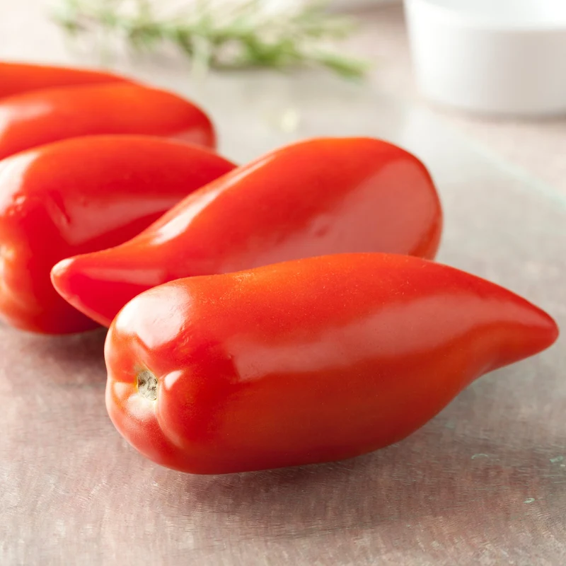 Tomate ‘Cornue des Andes’