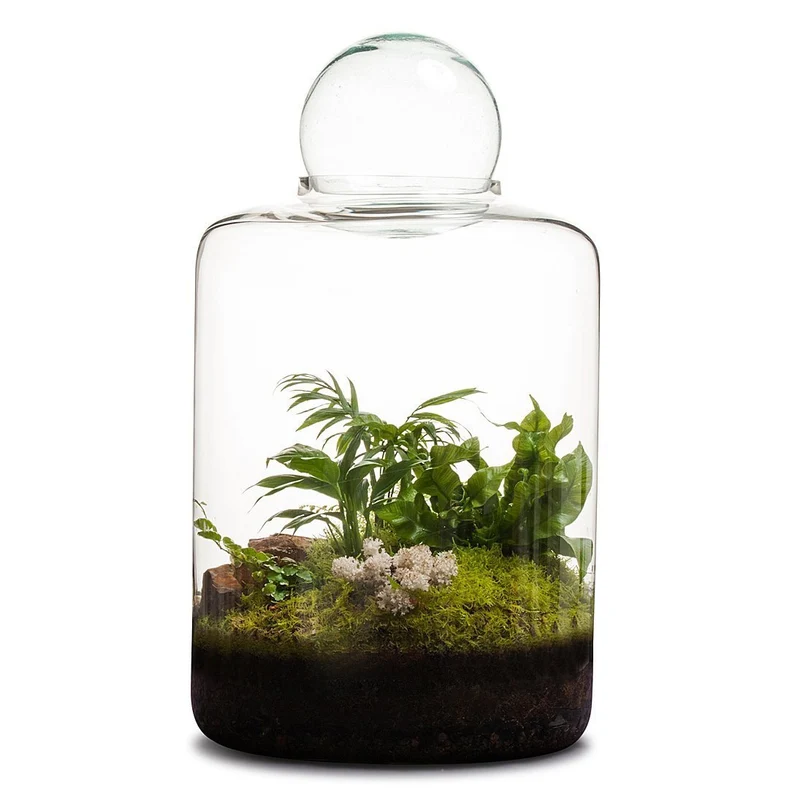 Garden of Eden Terrarium
