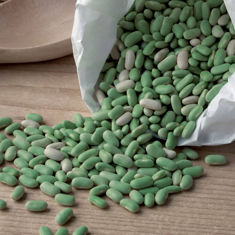 Buschbohne ‘Chevrier vert Flagrano’
