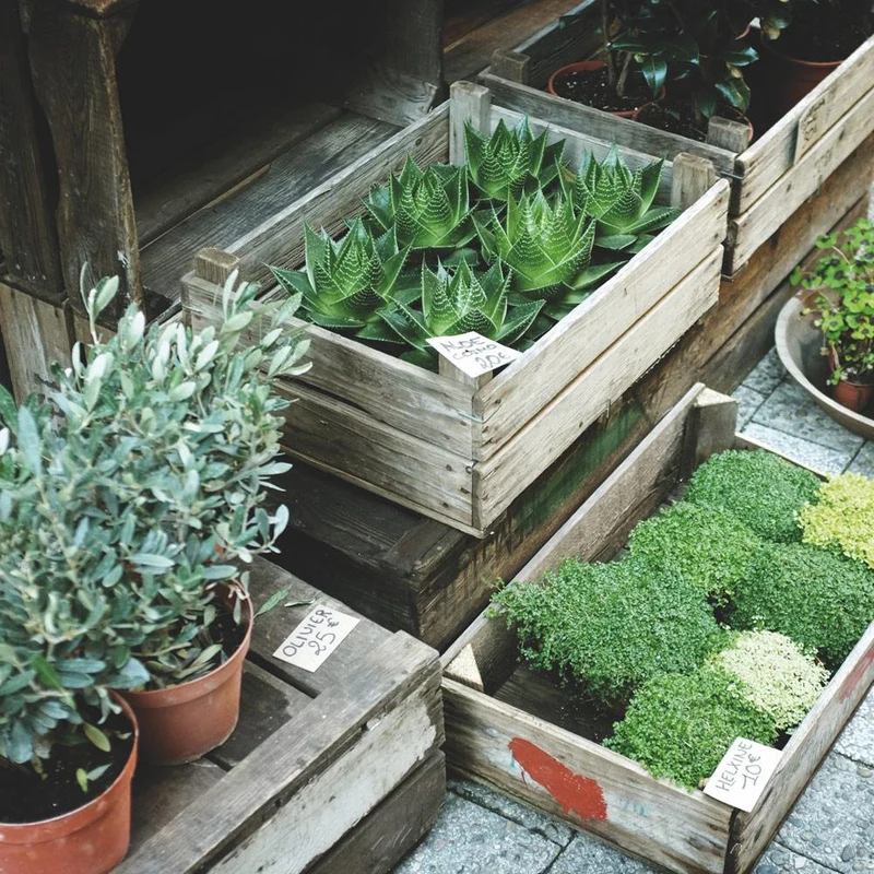 Home Garden Service