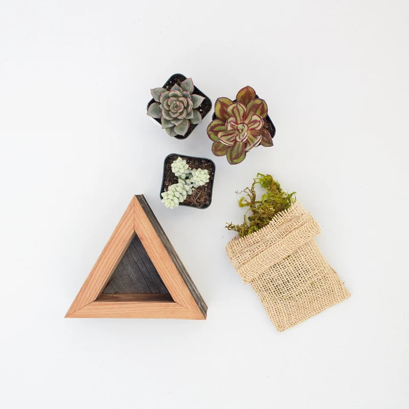 Succulent Triangle Planter Kit