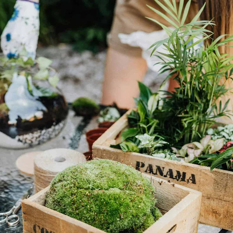 Plant Rescue Service